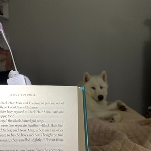 Fundraising Page: Valentina Araujo